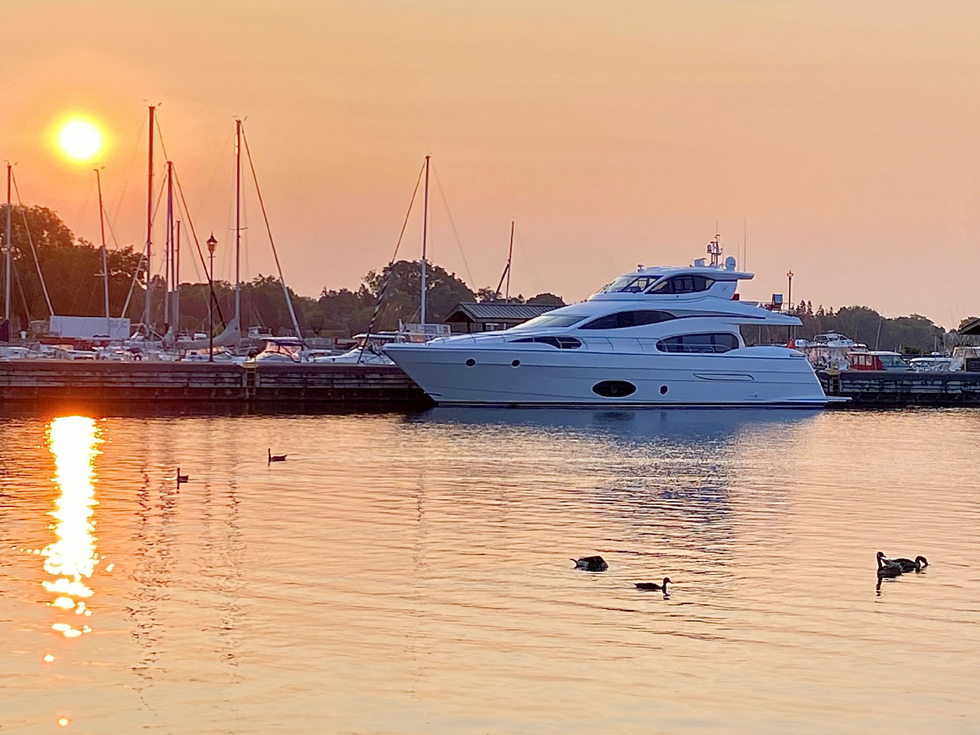 Neptunus Yachts 750S
